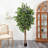 Faux Ficus Tree in Planter-62910020