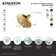 Kingston Brass Vilbosch 5-Inch Round 5-Function ABS Shower Head