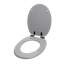 Soft Close Elongated Toilet Seat-40195501