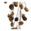Pinecone Spray - 46" - Brown
