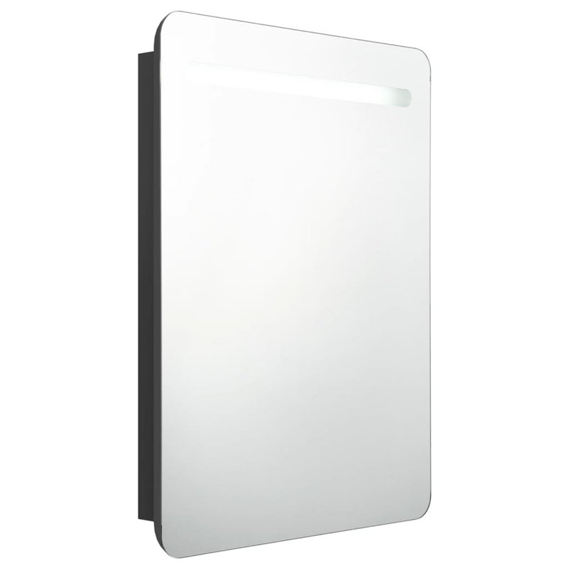 Lirah 600mm W 800mm H Surface Frameless Medicine Cabinet Mirror 2 Fixed, Black