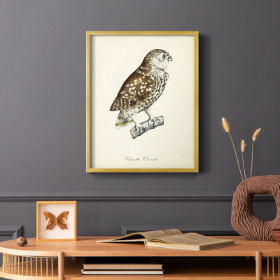 French Owls I Framed Print - Solid Wood