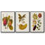 Belle Bauce - Ensemble de 3 cadres photo sur toile-160653828-160653831