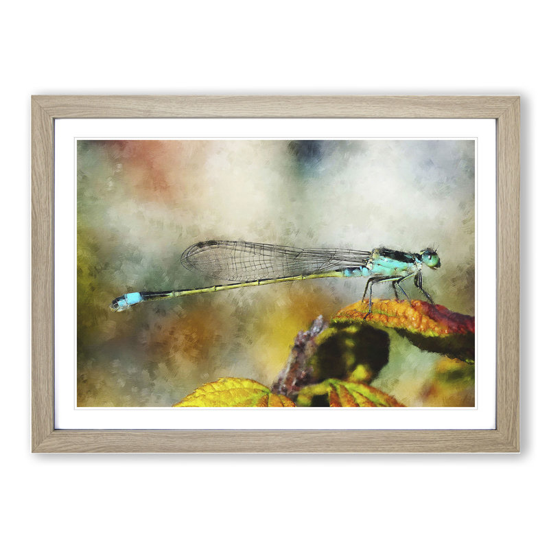 Dragonfly Vol.3 - Picture Frame Painting, 48cm H x 65cm W x 2cm D, Oak Framed