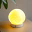 Lampe tactile en céramique Winston Porter