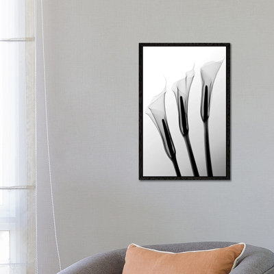 Hong Pham - Print on Canvas