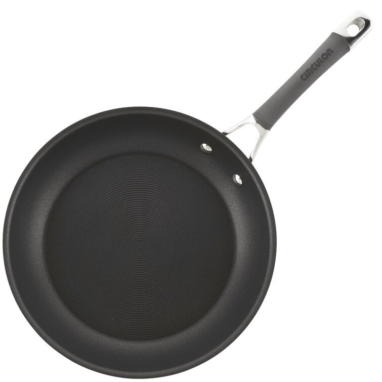 https://assets.wfcdn.com/im/24421772/resize-h755-w755%5Ecompr-r85/7893/78933201/Circulon+Radiance+Hard+Anodized+Nonstick+Frying+Pans+%2F+Skillet+Set%2C+8.5+Inch+and+10+Inch.jpg