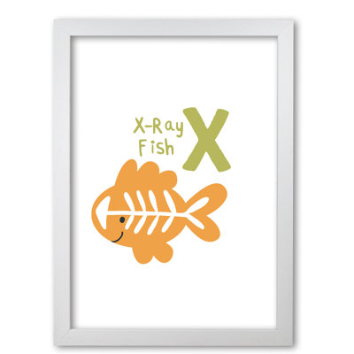 Alphabet Animals, X Is For X-Ray Fish - Print