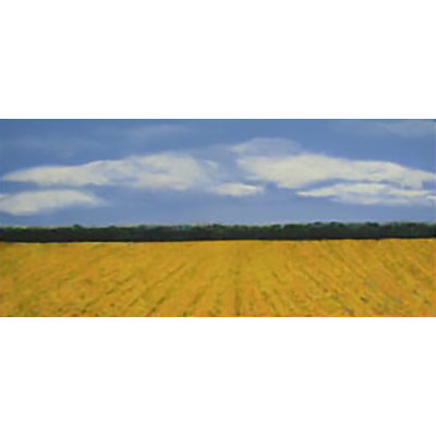 Yellow Fields Painting by Joyce Creiger