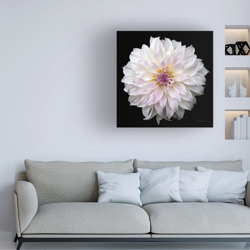 Œuvre d'art sur toile, Bachelor, H 14 po x l 14 po, Blanc