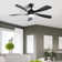 Damecia 52" 5 - Blade Smart Standard Ceiling Fan with Remote Control and LED Light