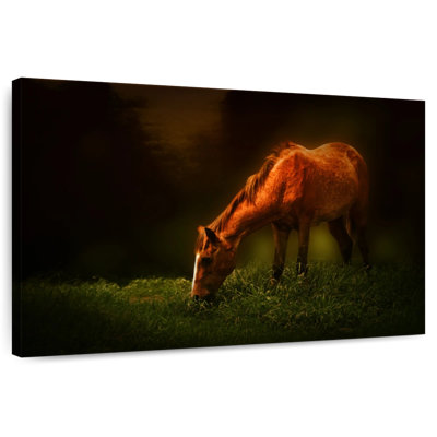 Brampt Grazing Horse