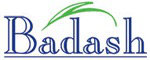 Badash Crystal Logo