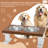 Elevated Feeder-88145650-88145652