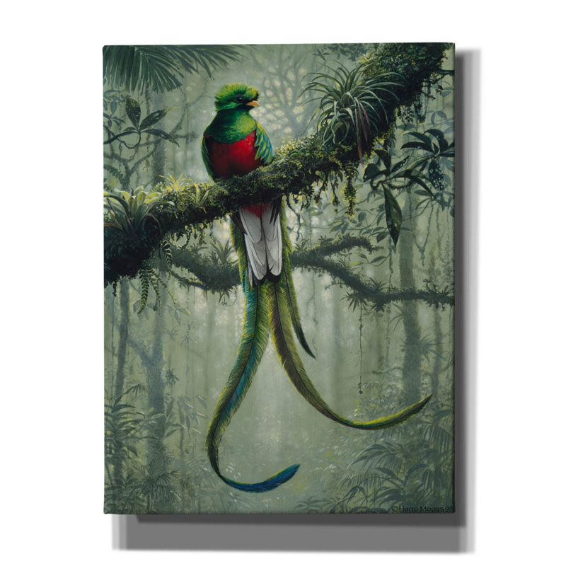 Epic Graffiti «Resplendent Quetzal 2» par Harro Maa, L 12 po x H 16 po x P 0,75 po