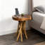 Table de bout en bois de teck rustique avec pieds en branches