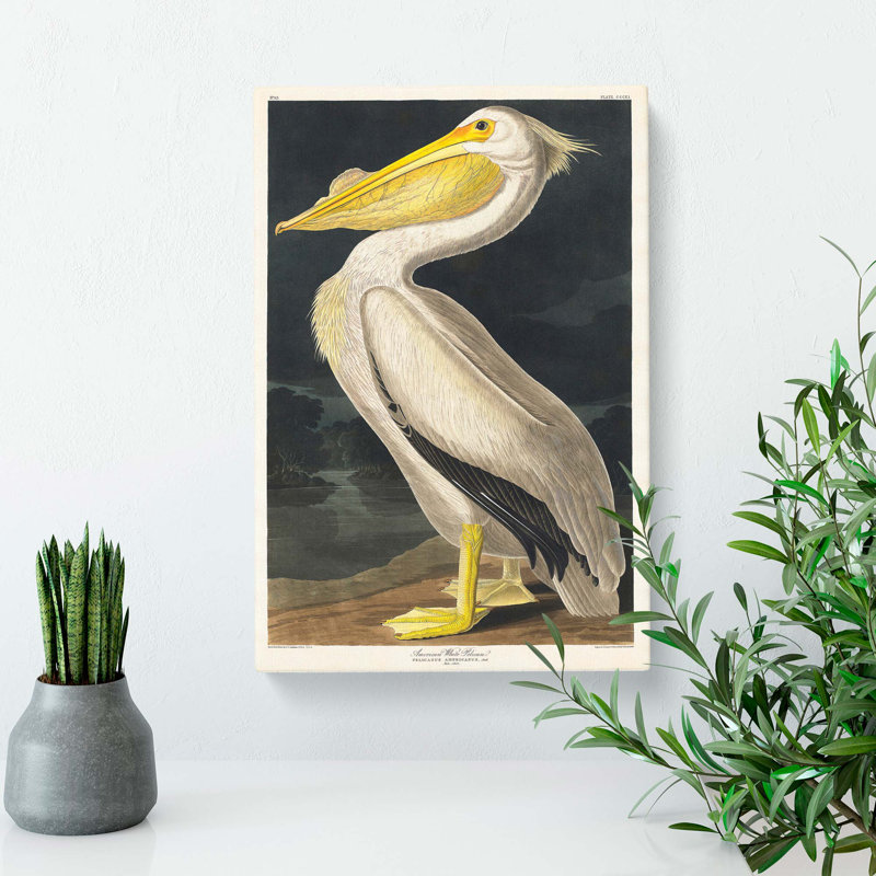 American White Pelican - Wrapped Canvas Painting, 60cm H x 40cm W x 3cm D