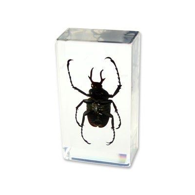 Raffa Animals Figurines & Sculptures