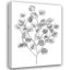 Art sur toile tendue avec Lark Manor ™, Scarvey, Emma, Eucalyptus