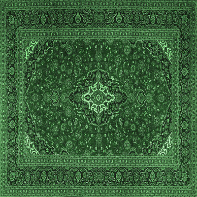 Jevgenia Performance Oriental Indoor Rug