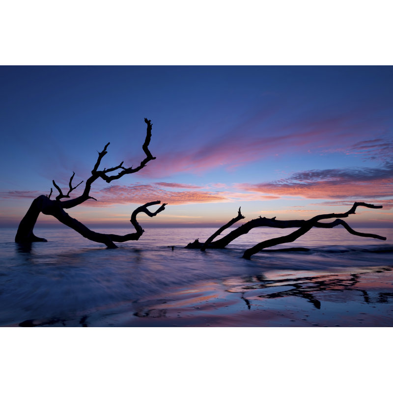 Driftwood Beach by PHBurchett - Wrapped Canvas Print, 30cm H x 46cm W x 3.8cm D