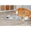 Trixie amusant jeu de stratégie pour chats, jouet de puzzle, distributeur de friandises, jeu interactif, blanc