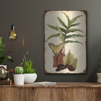  'Ferns On Vintage Tin E' by Jean Plout Metal Wall Art, 12" x 16"