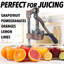 Presse-fruits manuel Zulay Kitchen - Presse-agrumes commercial robuste-44389407