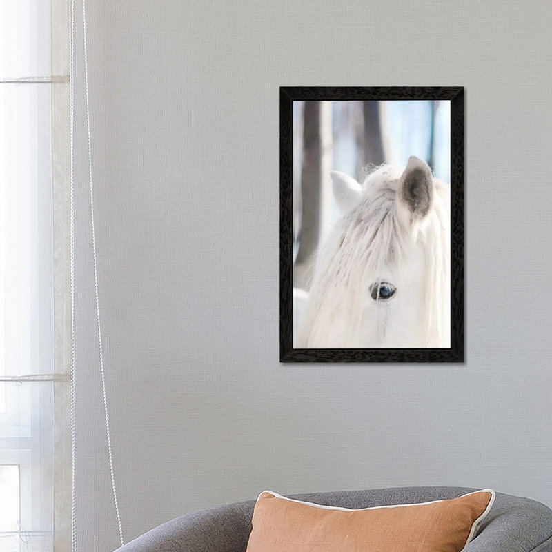 White Horse by Chelsea Victoria - Print on Canvas, 101.6 cm H x 66.04 cm W, Black Floater Framed