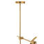 Abinaash 4 - Light Gold Sputnik Pendant