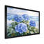 Ioab - Floral Wall Art-1695582109-1805835765-1805835766
