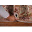 Tapis oriental gris en laine 2 x 3