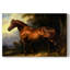 Animaux, série paysage CCXXCI-2109314759