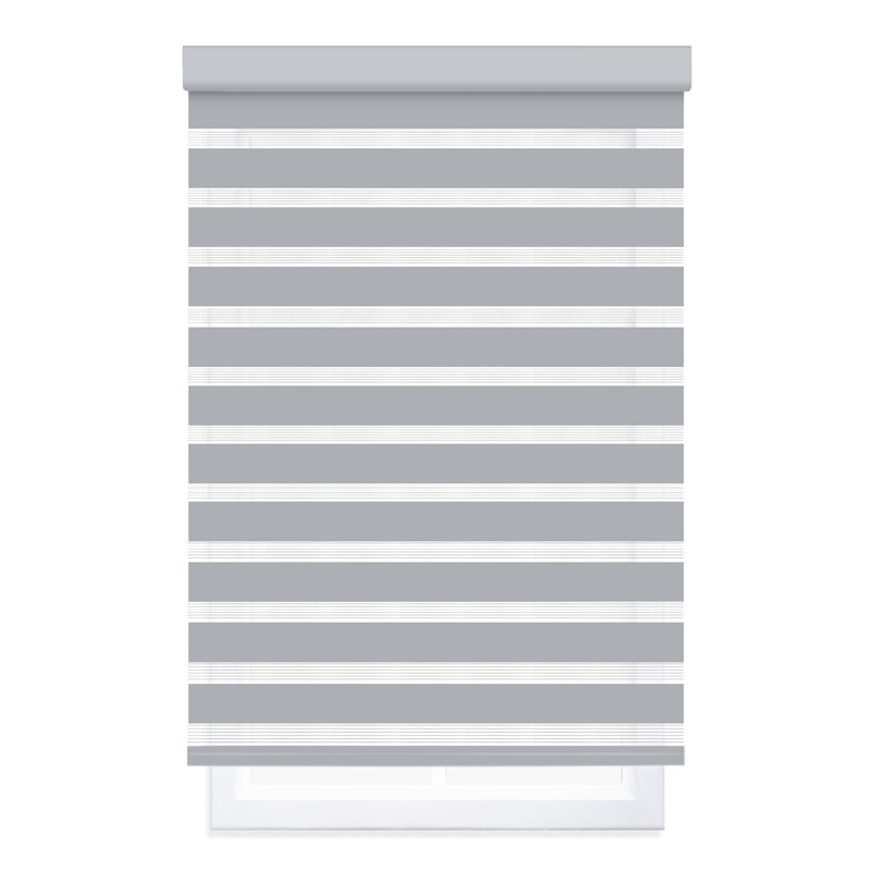 Cordless Zebra Roller Shade with  Room Darkening and Semi-Sheer Dual View, 27"W x 72"L, Gray