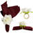 Metal Napkin Ring