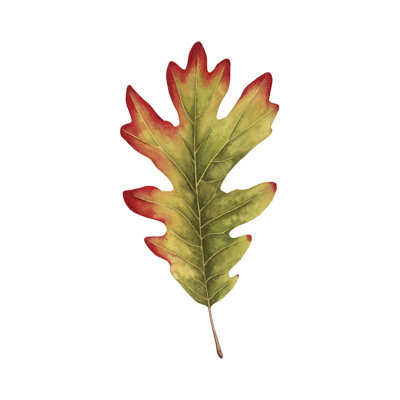 " Fall Leaf Study II " by Grace Popp Painting Print