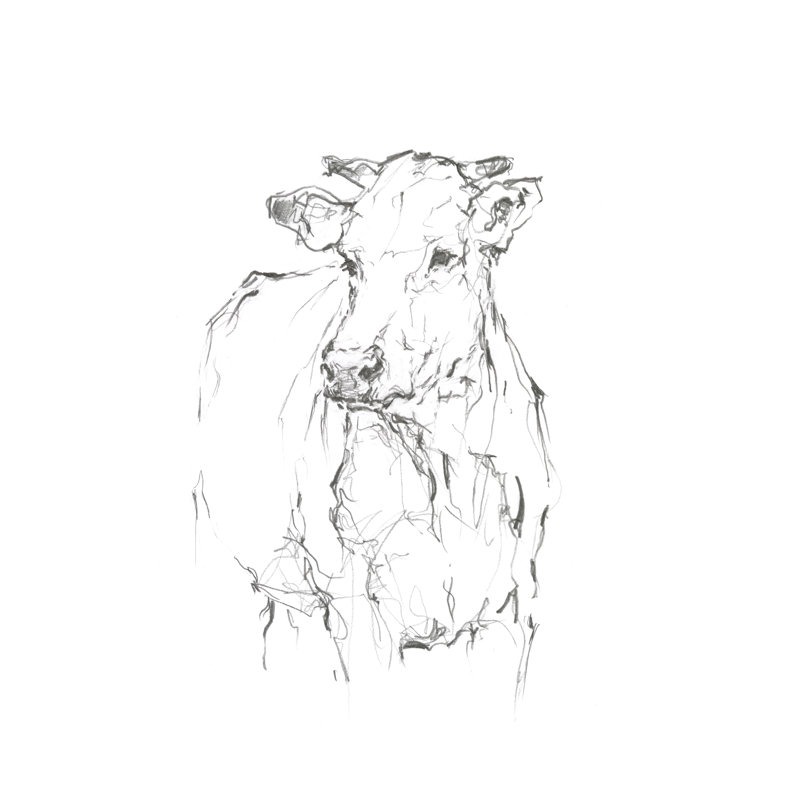 Bovine Quick Study II - Painting, 122 cm H x 81 cm W, Black Floater Framed