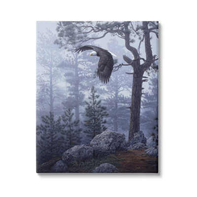 Au-761-Canvas " Eagle Flying Woodland Scene " by Daniel Smith