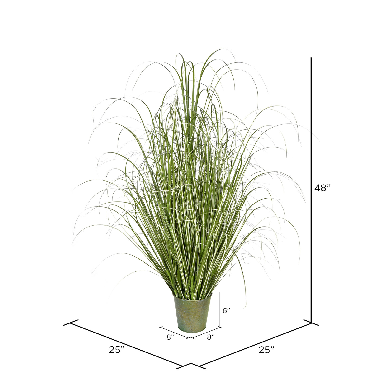 Grass Plant in Pot, 48" H x 25" W x 25" D
