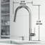 Hart 18" H 1-handle Pull-Down Kitchen Faucet and Soap Dispenser-63519573