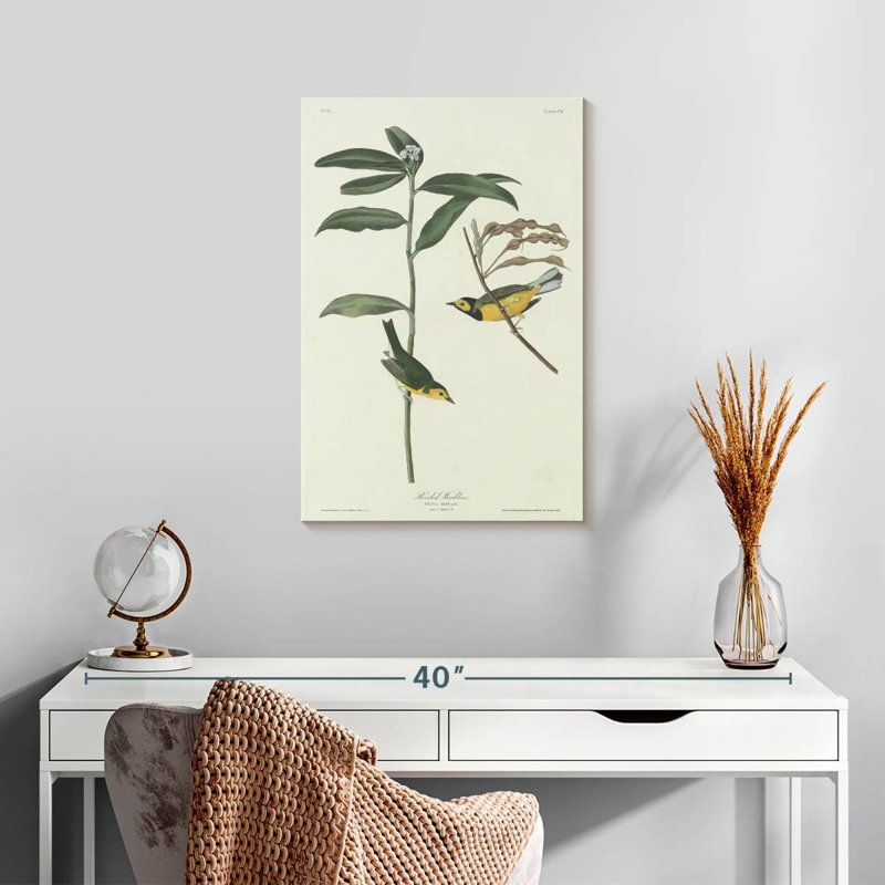 Keiri Hooded Warbler, 24" H x 16" W