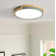 LED Flush Mount