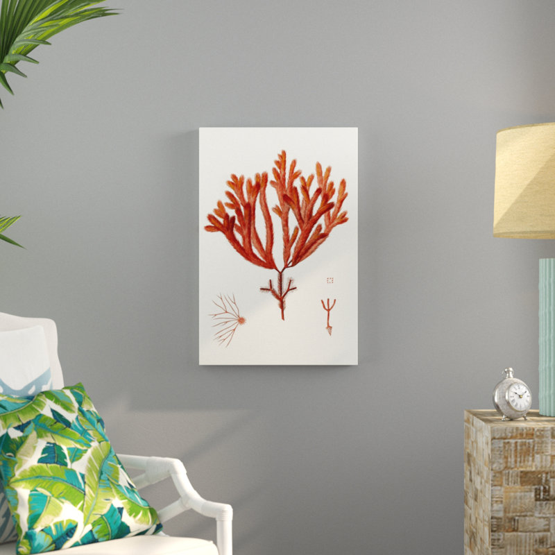Striking Seaweed II by Vision Studio - Graphic Art Print, 76cm H x 51cm W, Wrapped Canvas