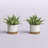 7.5'' Faux Eucalyptus Plant in Pot