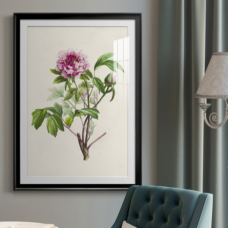 «Pretty Pink Botanicals V», reproduction de cadre photo, Noir, H 30,5 po x l 22,5 po x P 1 po