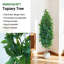 150cm Plant-1447866082