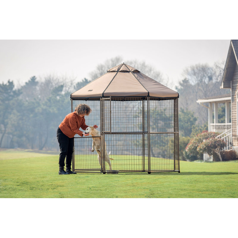 Abri pour chien avec abat-jour pour chien, Brun, H 93 po