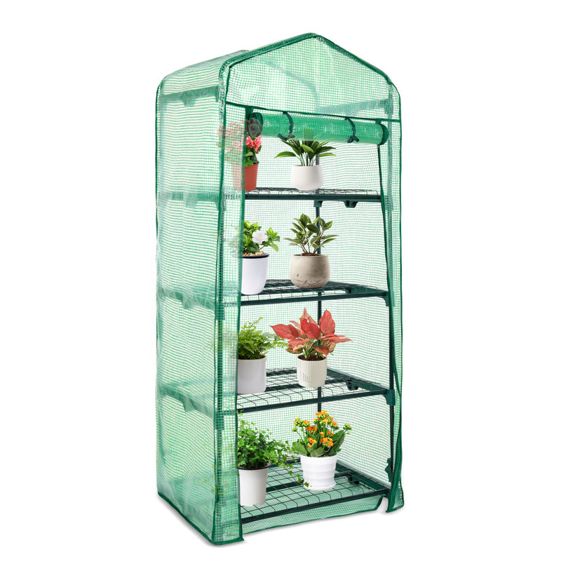 Serre à 4 niveaux 27 po x 19 po x 63 po avec base protectrice en polyéthylène Aoodor, Vert