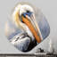 «Majestic Pelican Seabird III», art mural asymétrique en forme de nébuleuse du pélican-1373760102