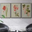 Blush Architecture Study IV 3 pièces-97757700-97757704